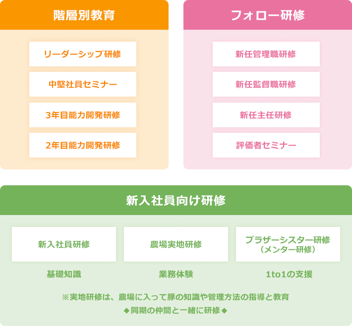 階層別教育（リーダーシップ研修、中堅社員セミナー、3年目能力開発研修、2年目能力開発研修）、フォロー研修（新任管理職研修、新任監督職研修、新任主任研修、評価者セミナー）、新入社員向け研修（新入社員研修 基礎知識、農場実地研修 業務体験、ブラザーシスター研修（メンター研修） 1to1の支援 ※実地研修は、農場に入って豚の知識や管理方法の指導と教育、同期の仲間と一緒に研修